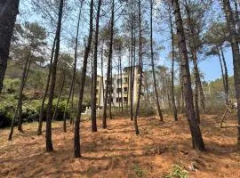 XTSY Travellers Hostel