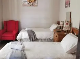 Zonneblom Guest House