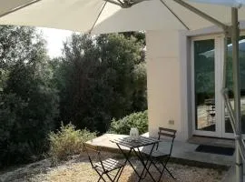 La casetta nel bosco