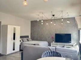 EVIS LTD apartments 5