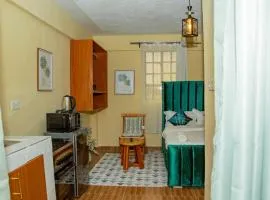 Lush Studio with Netflix and WI-FI