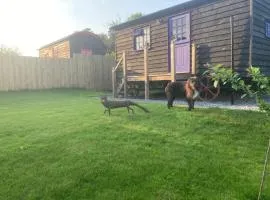 Fox lodge Shepherd Hut Sidmouth