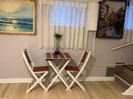 Renovated 2 Queen Beds Unit with Private Kitchen and Bathroom Near Yonge Street Basement