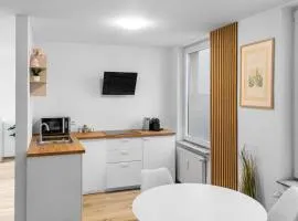 Stylisches City-Apartment