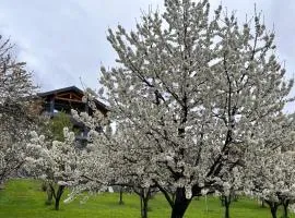 Affittacamere Verger Plein Soleil