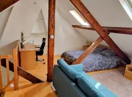 Studio chez l'habitant - SDB privé