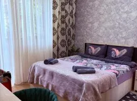 Nova city center apartments