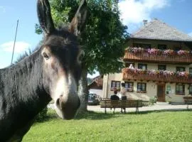Sunmattehof