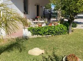 B&B Delle Zolfare