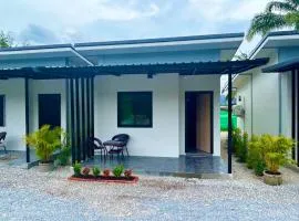Palm Tree Resort