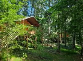 Tente safari Lodge Castelwood