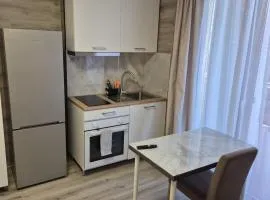 Viktor Studioapartment