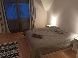 The Other House