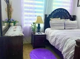 Keys & Everglades Hideaway Shared Space