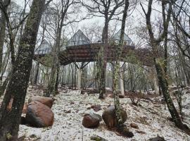 Caba&ntilde;a Boreal, Punta del Bosque，瓦薩德奧坎波的小屋