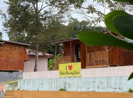 Hotel O Disan Baang Kiulu, hotel v mestu Kiulu