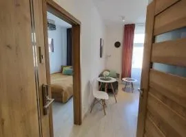 Apartament - Studio 2 Gliwice