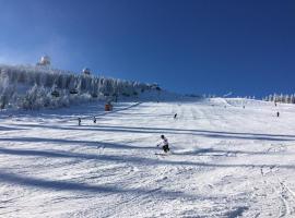 Haus Bergblick, hotel in Lindberg