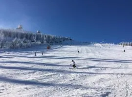 伯格博里克公寓