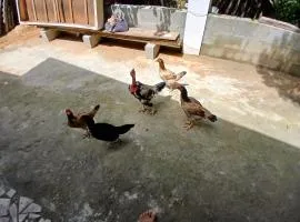 Recanto alegria