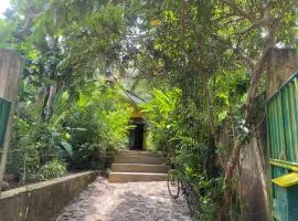 R&N Yellow House