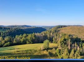 Modernes Harz Studio Apartment Ferienwohnung über den Baumspitzen, hótel í Braunlage