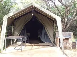 My Bush Camp