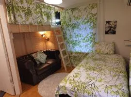 Quiet Private room in shared home - Yksityinen rauhallinen huone kodissa- 15min To city