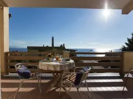 Elena House Fertilia