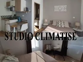 Studio L'epicea Climatisation Sejour Parfait