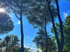 CAMPING AMALASUNTA