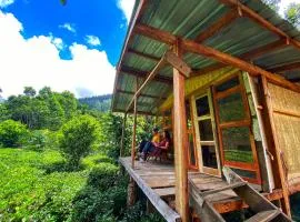 Pekoe Path Lodge