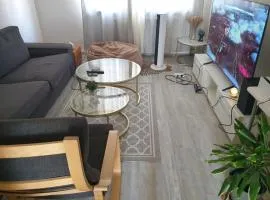 Apartment in Gelsenkirche with free Parking wifi amazon prime Video