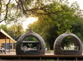 Sashwa River of Stars Plant-Based Wellness Safari Lodge