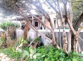 Summer house with swimming pool