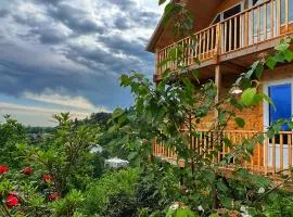 Cottage in Mountains of Adjara