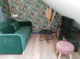 Appartement cosy 1 chambre Saint-Malo