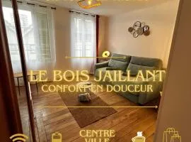Le Bois Jaillant - Wifi - Centre ville historique - Proche Gare