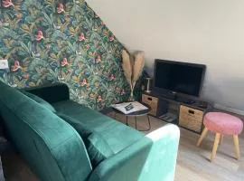 Appartement 1 chambre et 2 vélos