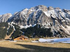 Grand Chalet - Coeur de la montagne, ξενοδοχείο σε Mont-Saxonnex