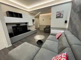 Luxury Grey Apartment