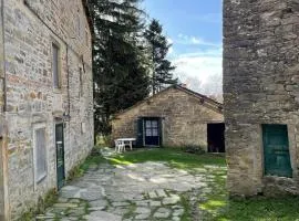 SO MAGIC - La casa nel bosco