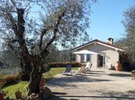Oliveto Tuscany