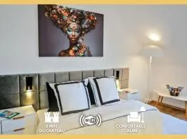 Nid douillet tout équipé, 6 min château d'Amboise