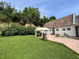 Holiday home in Kötcse - Südtransdanubien 53934