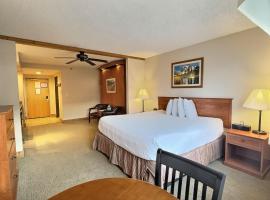 Studio Perfect Location 320 with Pool and Hot Tub, Hotel in Crested Butte