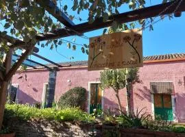 Codavolpe giardino di tea