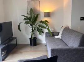 Beautiful bright renovated 2BR with a balcony- sleeps 5