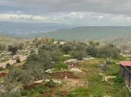Al-Yarmouk sanctuary
