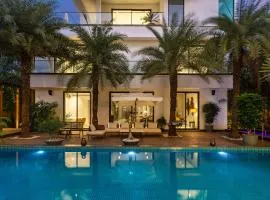 Amorzito by Solitaire Stays